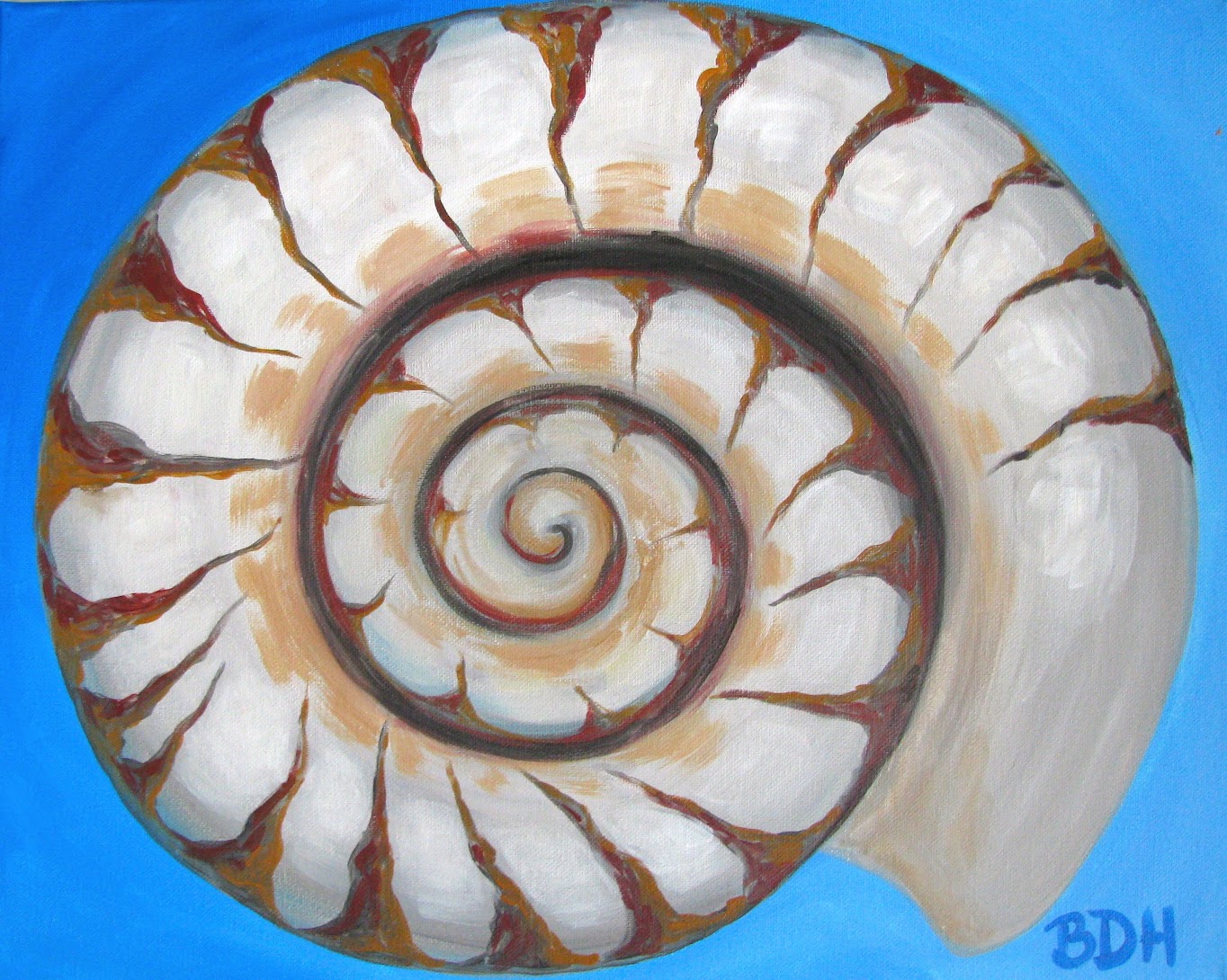 Shell