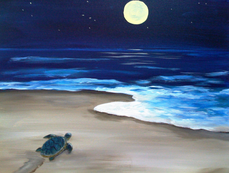 Turtle Returning Home