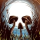 Mushroom Skull