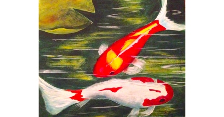 Koi Shelli (1)ad
