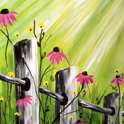 Wild-Flowers-WNC-VD
