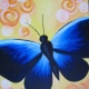 blue butterfly BY