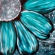 Blue Jean Daisy