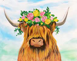 highland cow