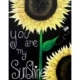 You are my Sunshine