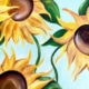 Van Gogh Sunflowers