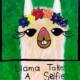 Llama Take a Selfie
