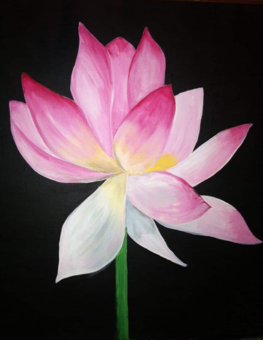 night lotus