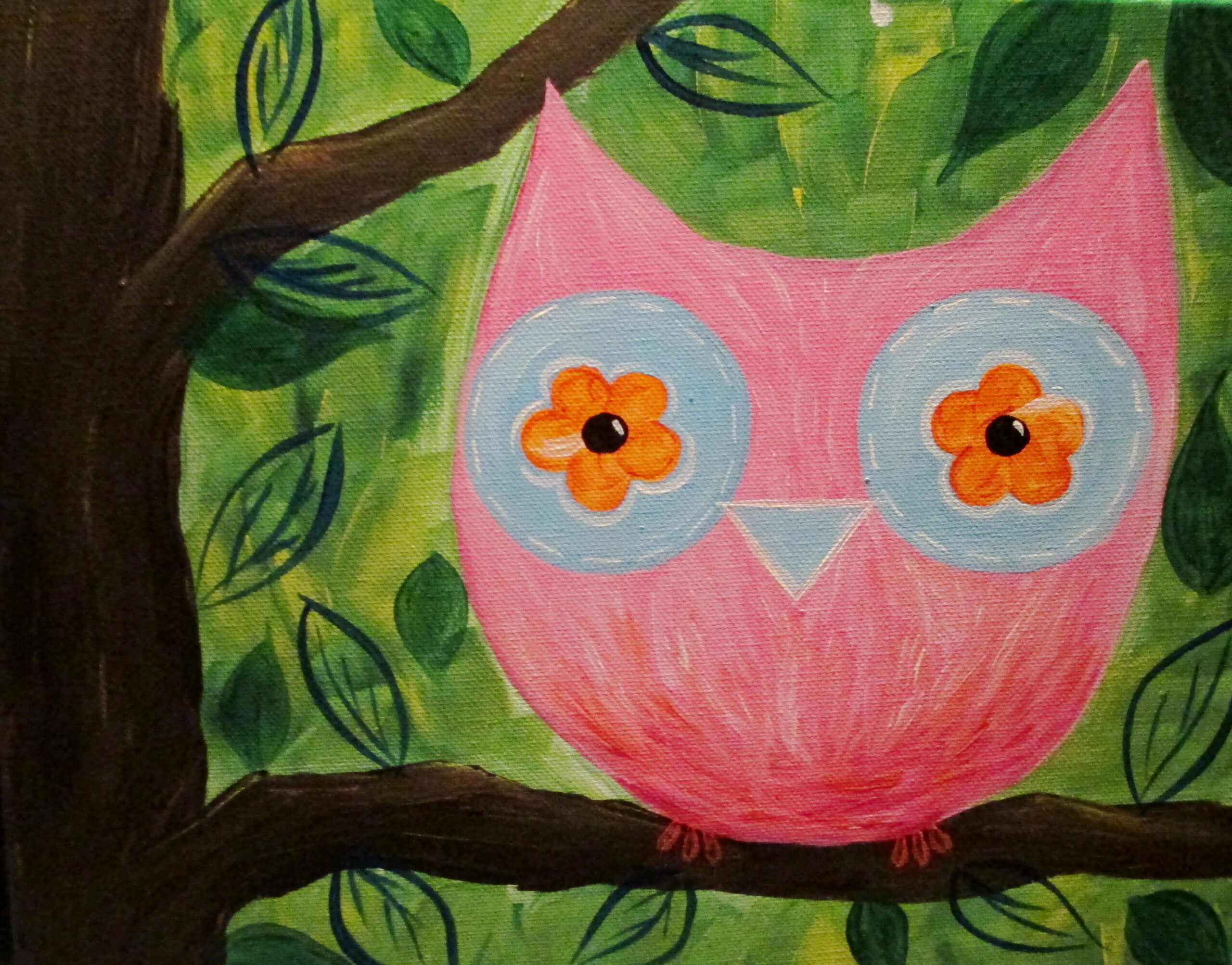 Big Eyed Owl