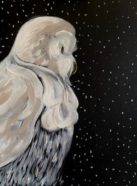 Snowy Owl
