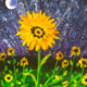 Stargazing Sunflowers