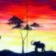 Safari Love