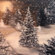Paint and Sip Moonlit Pines