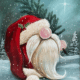 Paint and Sip Santa Gnome