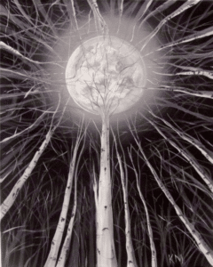 Paint and Sip Looking Up