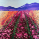 Paint and Sip Flower Field