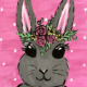 Cookies and Canvas Pretty Bunny
