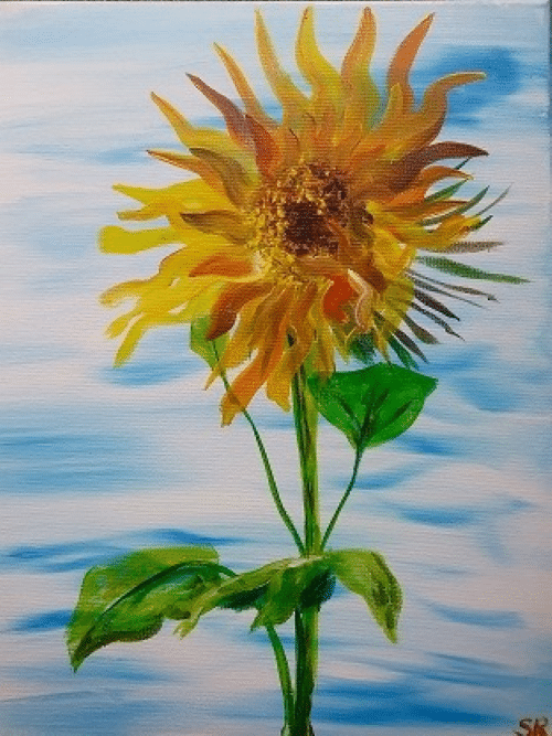 Paint and sip Van Gogh Sunflower